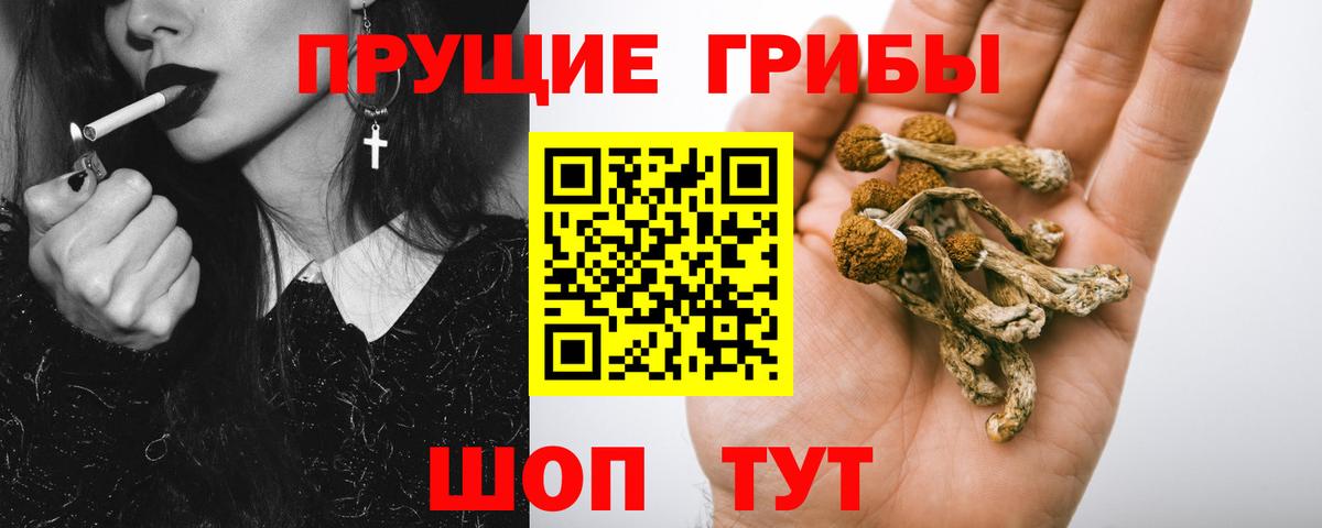 Уссурийск  Псилоцибиновые грибы мухоморы  Вход с VPN 
